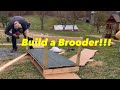 Building a Super Cheap Brooder for Chicks!