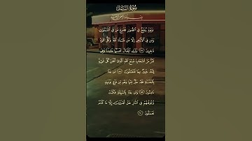 #القرآن_الكريم #سورة_النمل #ذكر_الله #اكسبلور #كلام_من_ذهب #لايك #food #foryou #الرقية_الشرعية