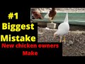 3 Biggest mistakes NEW chicken owners make