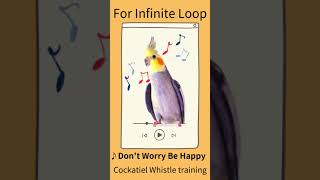 Download Lagu Don't Worry Be Happy - Parrot Training Song🎤🦜 MP3