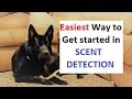 How to Train a Dog to Find ANY scent (K9-1.com)