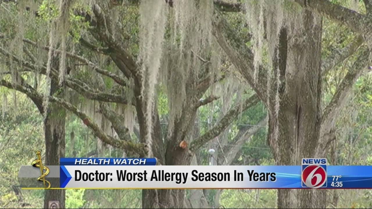Doctors: Worst allergy season in years