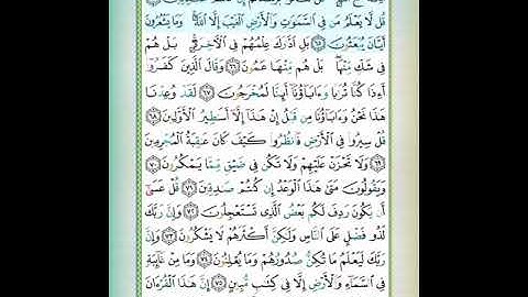 سورة النمل الصفحة السابعة بصوت د.ايمن سويد