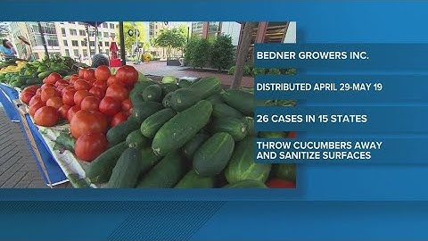 Cucumbers linked to multi-state salmonella outbreak