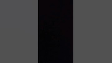 سورة الإخلاص برواية ورش عن نافع