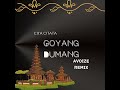 Cita citata-Goyang Dumang(AVOIZE Remix)