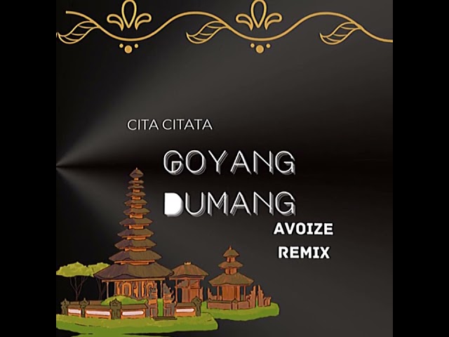 Cita citata-Goyang Dumang(AVOIZE Remix) class=