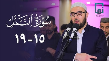 سورة النمل (١٥-١٩) #یحیی_الشيخاني  ‏#YahyaALshaikhani