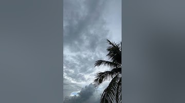 الثلاثاء 30رمضان1445🌙9-4-2024🎙️فواز محمد الجنفاوي سورة الفاتحة القدر النصر الإخلاص دعاء القنوت🇰🇼