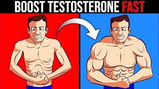 How To Increase Testosterone in 2024