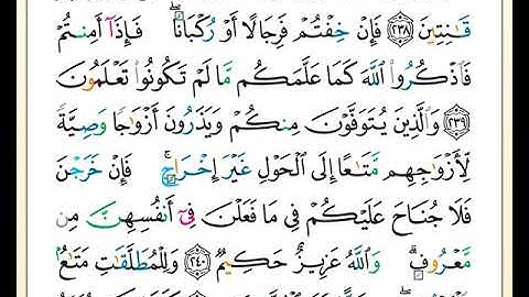 الصفحة رقم ( 39 ) من ختمة مصحف التجويد برواية حفص بصوت القارئ محمد حبش