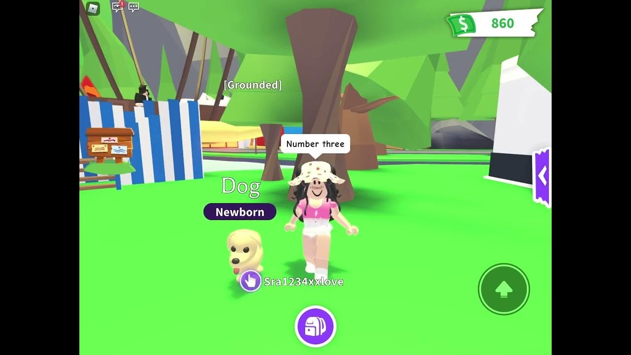 Most hated pets in adopt me YouTube