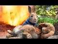 Blowing Up the Bunnies | Peter Rabbit | Clip