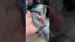 Motor Brilhando Novamente