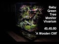 'A Wooden Cliff' Baby Green Tree Monitor Vivarium | '나무 절벽 ' 그린트리 모니터 베이비 비바리움 | 45*45*60