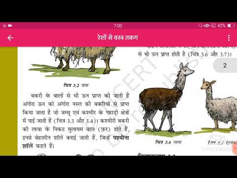 वीडियो: कैसे अनाज उगता है: फोटो, कच्चा अनाज किस रंग का होता है, यह भूरे रंग का क्यों होता है