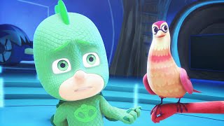 Owlette's Two Wrongs |  Full Episodes | PJ Masks | Cartoons for Kids | Animation for Kids by PJ Masks Season 5 18,704 views 3 weeks ago 12 minutes, 35 seconds