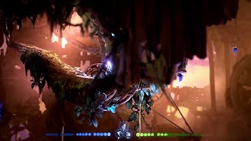 Ori And The Will Of The Wisps Bug.