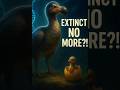 Are Scientists REALLY Bringing Back the EXTINCT Dodo Bird?🦤⚡ #extinct #dodo #extinctanimals #viral