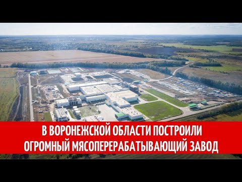 В Воронежской области построили огромный мясоперерабатывающий завод