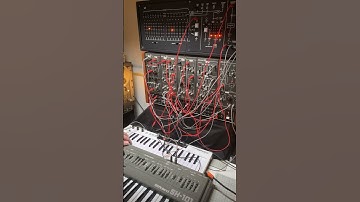 Roland System 100m sequencing #synth #vintagesynth #synthesizer #electronicmusic