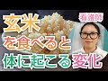 【論文が証明】玄米を食べるとどうなる??知らないともったいない健康効果【看護師が解説します】