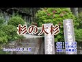 【 杉の大杉 】  三山ひろし / Cover  :  西川三男