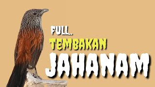 MASTERAN BURUNG LOMBA || FULL TEMBAKAN JAHANAM MERESAHKAN