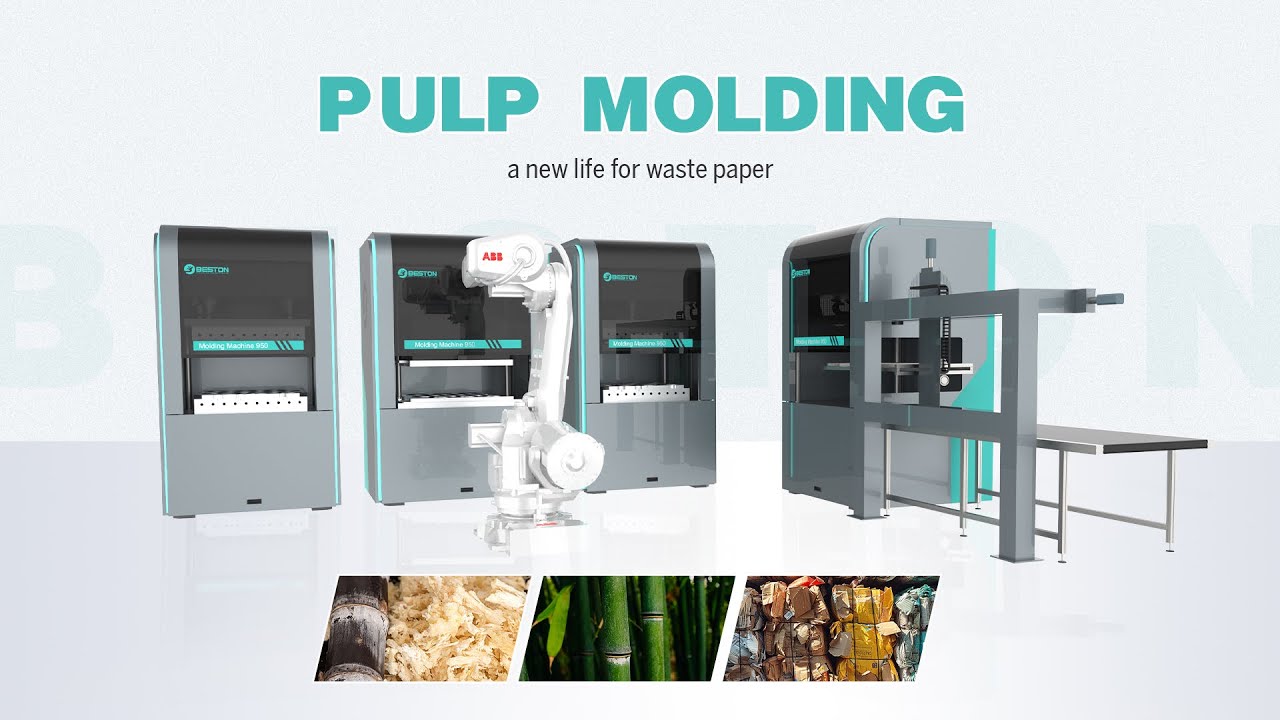 Pulp molding: a new life for waste paper - YouTube
