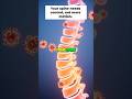 Your back muscles aren’t “overly tight” - your spine is unstable #spinalstability #spinehealth