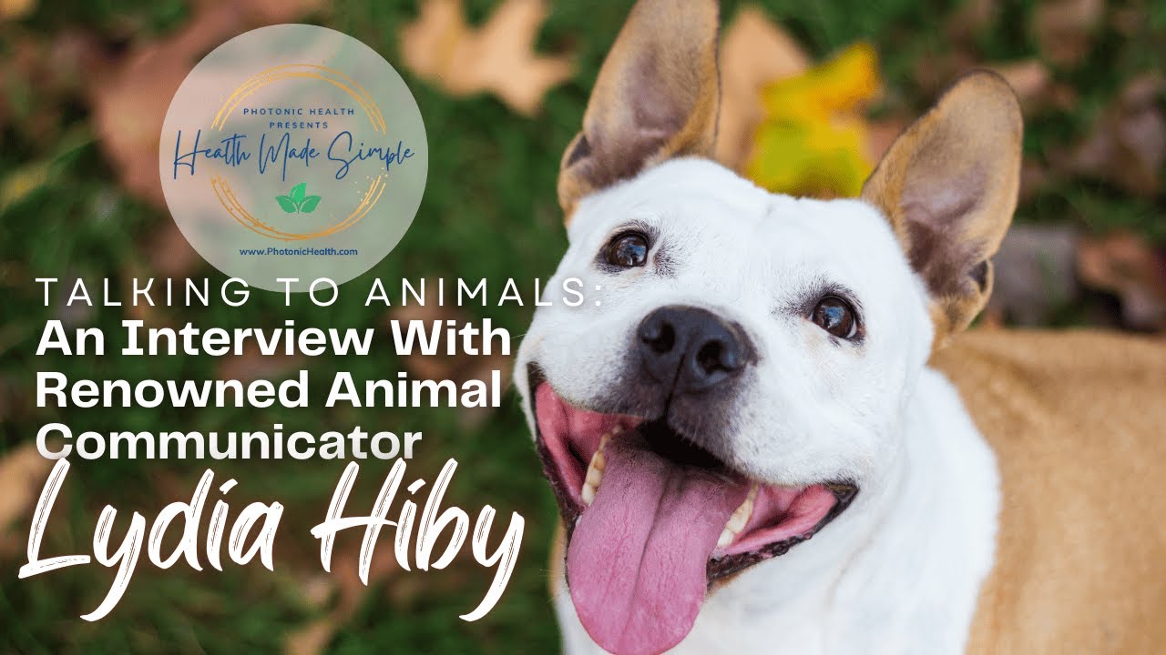 Animals Getting Interviewed Talking to Animals: An Interview With Renowned Animal Communicator ...