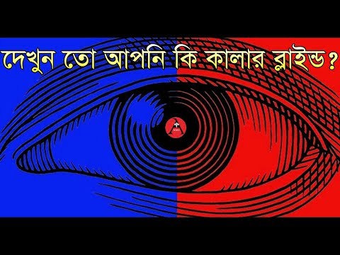 ভিডিও: জাপানে প্লেটস কি সস্তা?