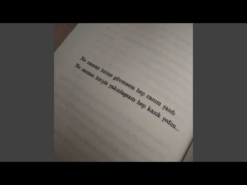 TİMSAHLAR 2.9