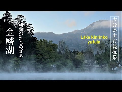 【由布院温泉 金鱗湖】朝霧が幻想的な由布院温泉の湖