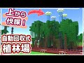 【マイクラ】伐採楽ちん!自動回収できるマングローブ植林場の作り方 #62【統合版サバイバル】