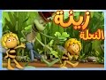 مايا النحلة الجنادب المزعجة 