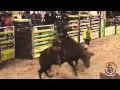 Edevaldo vs Desprezo - 88,00 ● Rodeio Rio Verde/GO 2015