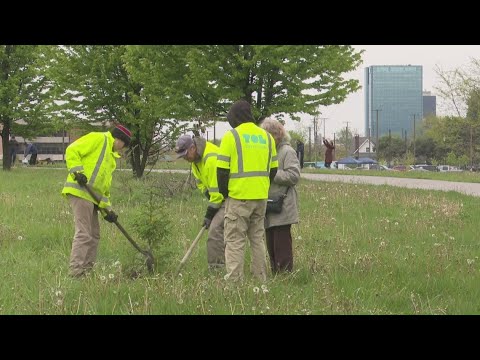 Multi Faith Tree Multi-faith tree planting beautifies Craig Bridge Trail - YouTube