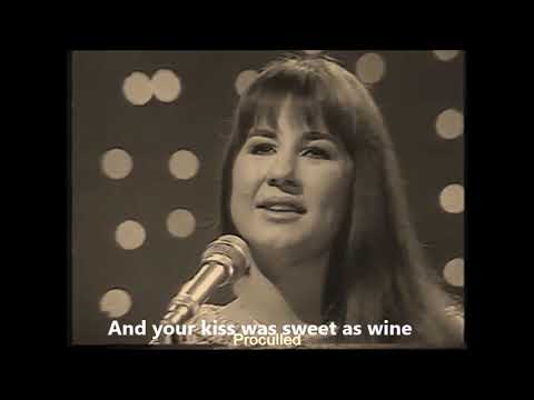 The Seekers : The carnival is over (Live & lyrics)