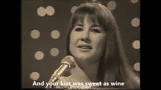The Seekers : The carnival is over (Live & lyrics)