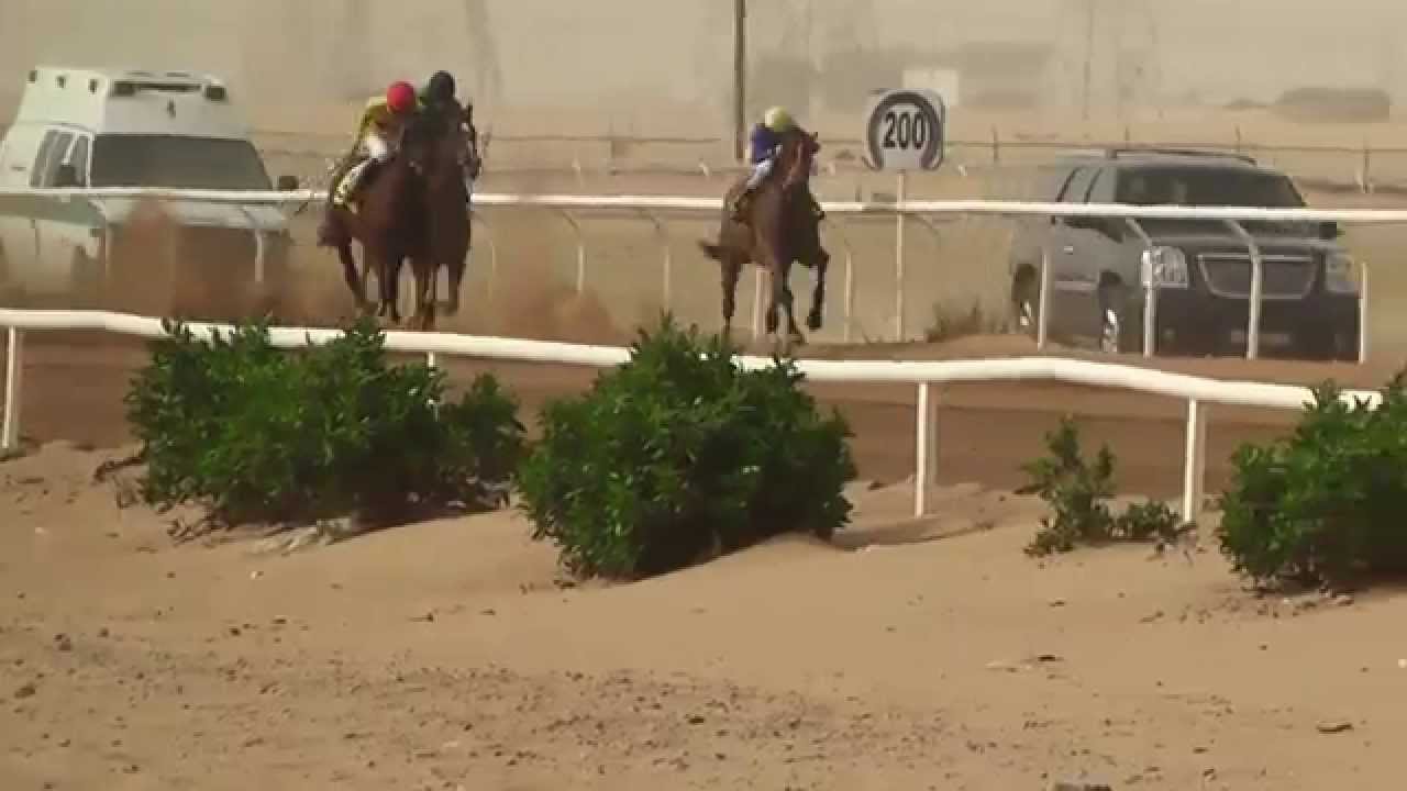 الأجتماع العشرون فروسية الفروانيه الشوط الاول نعم الرفيق للأسطبل الخضر