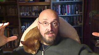 The Whole Shebang Book Review