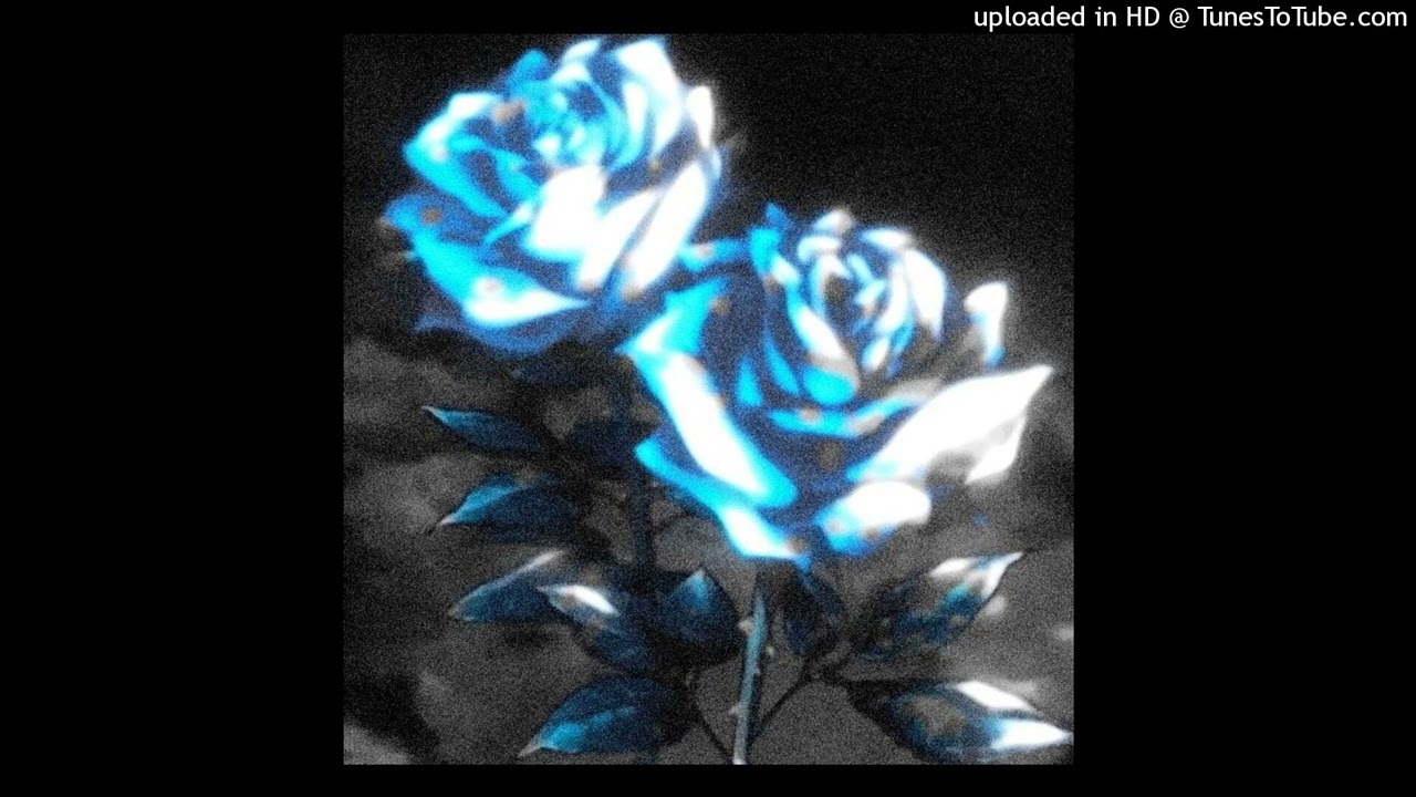 [FREE] PINKBLXXD x lungskull type beat - 