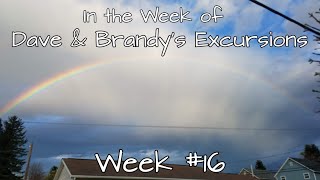 In The Week Of Dave Brandys Excursions Ep 16 2019