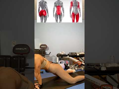 #Core #Arms #Shoulders #UnderarmWorkout  #shoulder #legs