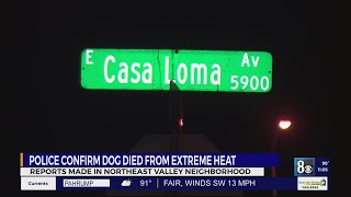 Dog dies outside northeast valley home due to extreme heat