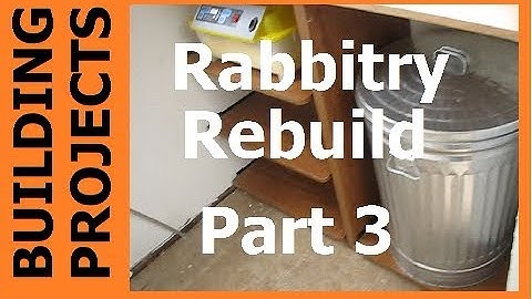 HOMESTEAD BUILDING PROJECTS - Rabbitry Remodel Part 3.