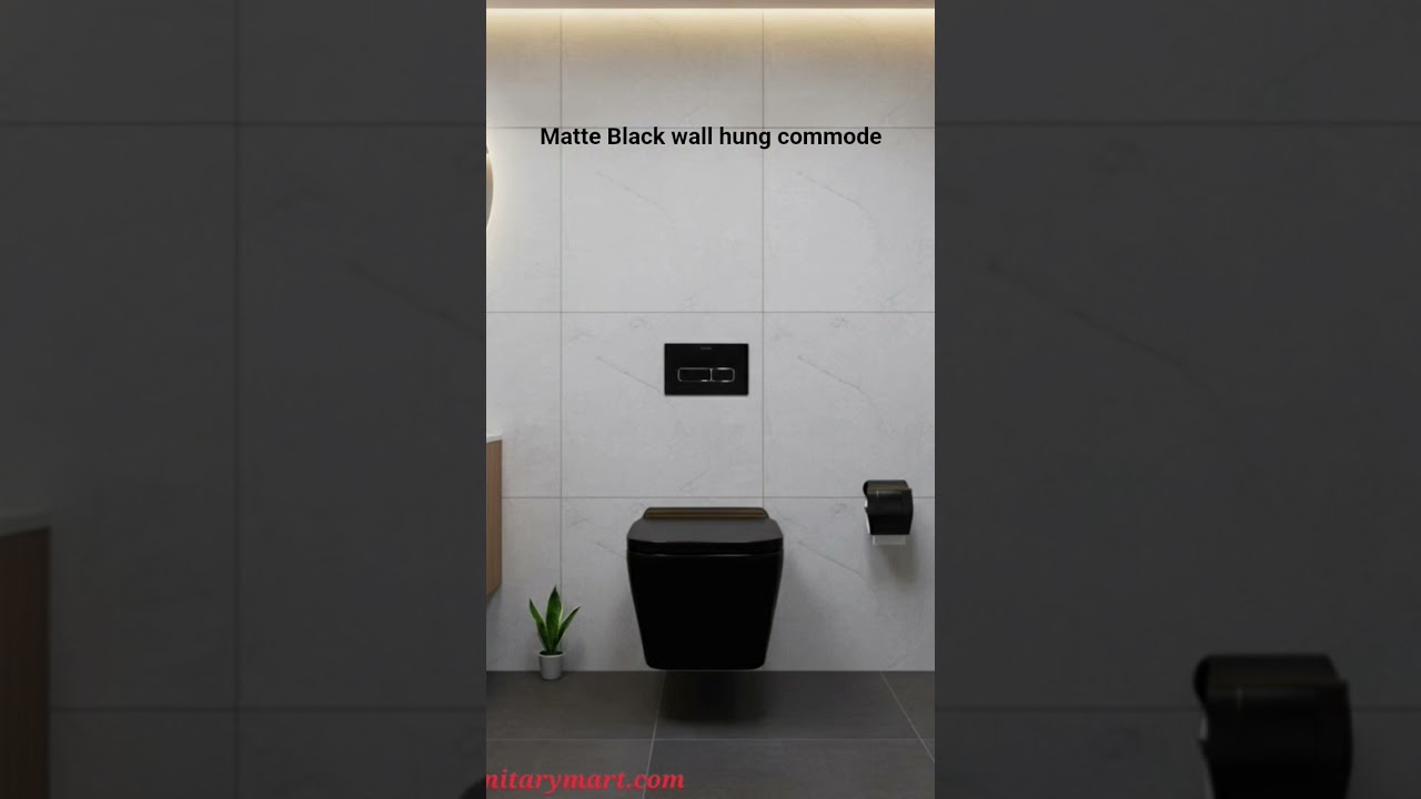 Matte Black wall hung commode