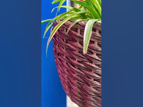 Кашпо из ротанга «Кукурузный лист».Доступен к заказу #кашподляцветов # ...