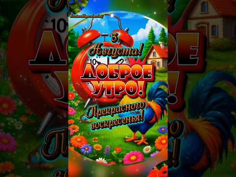 С добрым воскресным утром, мои хорошие!🌹☕️🍰#доброе утро #популярное #рекомендации